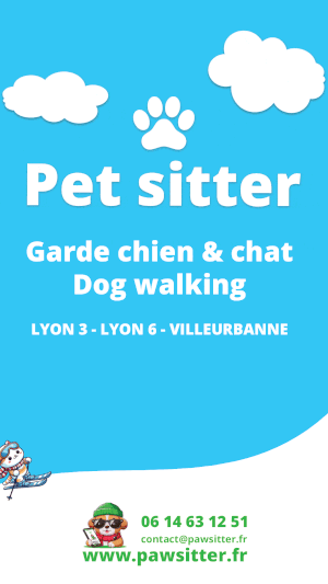 Gif animé - story vacances Story Instagram représentant un chat qui fait du ski