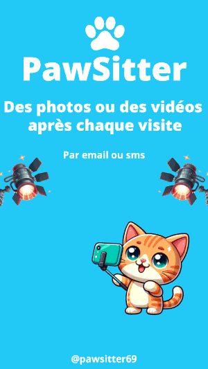 Gif animé - story photos Story Instagram représentant un chat qui fait un selfie